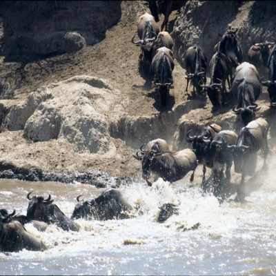 1689009537812_Wildebeest Crossing Masai Mara-min 1689009537812_Wildebeest Crossing Masai Mara-min
