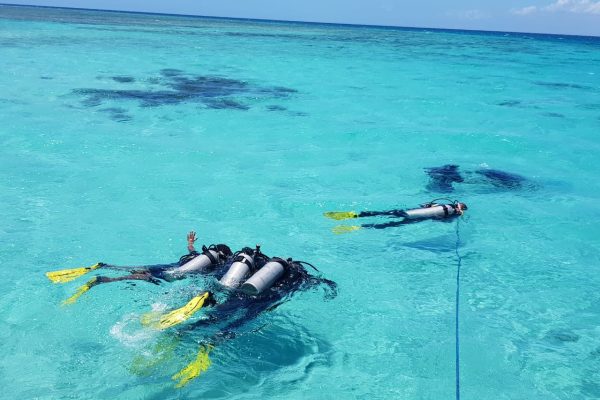 Snorkling_At_Kisite Snorkling_At_Kisite