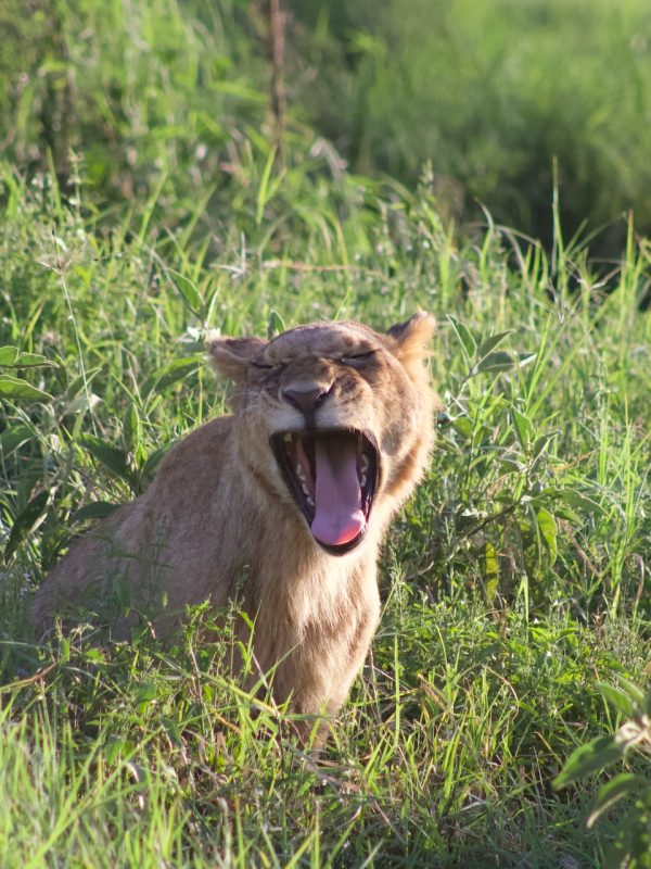 lake nakuru4