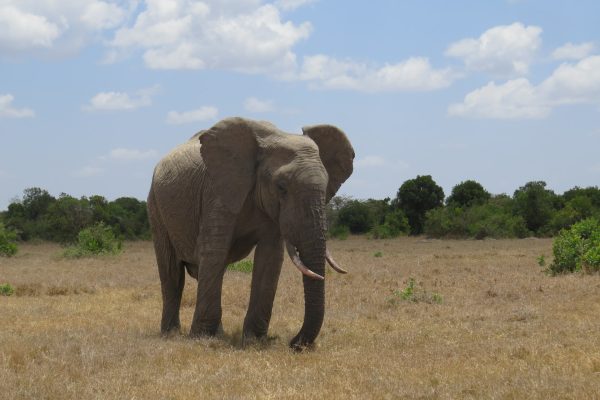 melissa-van-niekerk-6LGoim17Ux8-unsplash