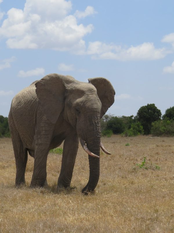 melissa-van-niekerk-6LGoim17Ux8-unsplash