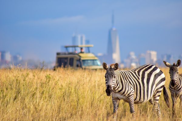 nairobi national park2 nairobi national park2