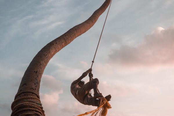 pexels-alex-azabache-3250362