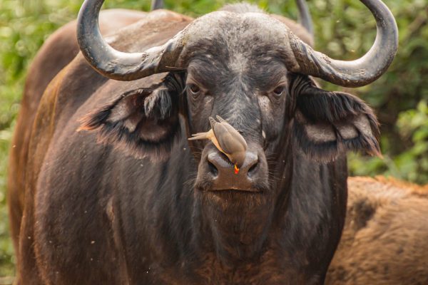 pexels-charl-durand-6436686