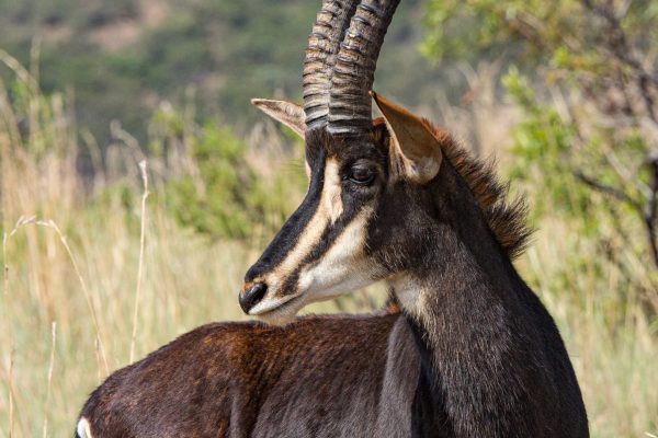 pexels-charl-durand-6476404