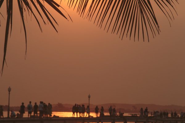 pexels-marian-sol-miranda-7000597