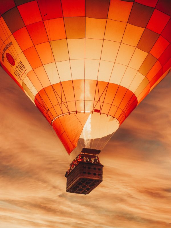 pexels-prince-lakra-9186464