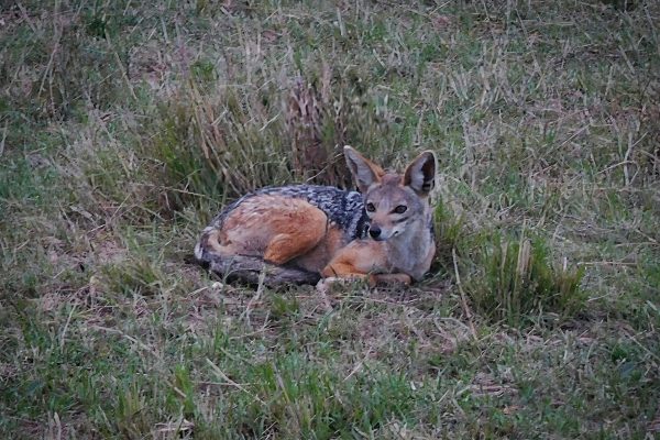 torben-gettermann-SQt-UQehKKQ-unsplash