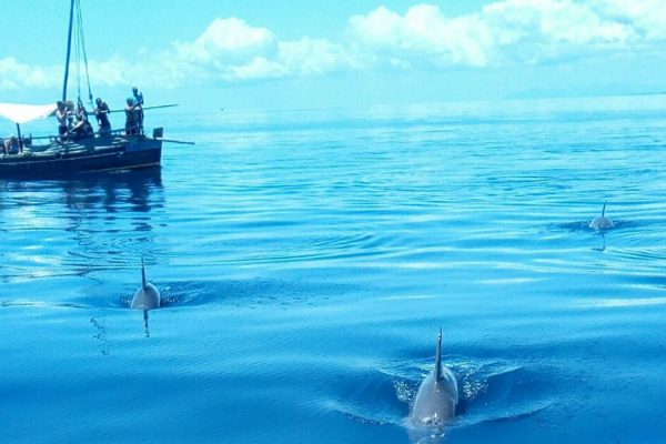 wasini-island wasini-island